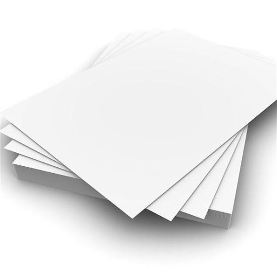 Art Card & Thermal Paper